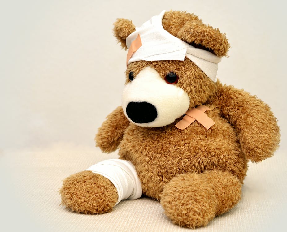 teddy-teddy-bear-association-ill-42230