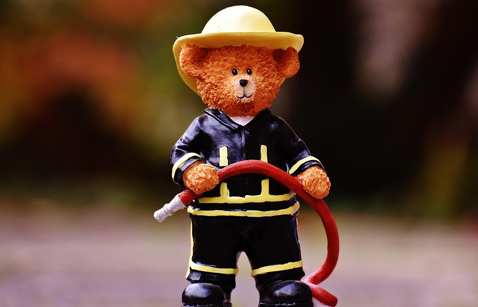 bear-1821470_960_720
